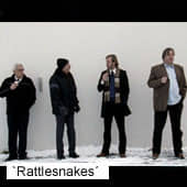 Hafsteinn Gunnar Sigurdsson gana con 'Rattlesnakes' el Primer Premio 'ALCINE'