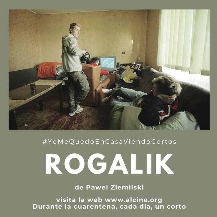 "Rogalik", una cámara que no deja de bucear entre la realidad y el sueño #YoMeQuedoEnCasaViendoCortos