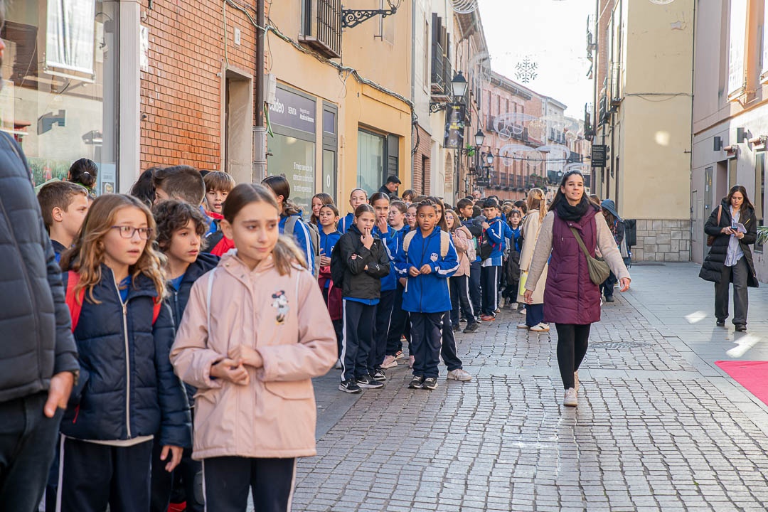 ALCINE Joven 12/11/2025