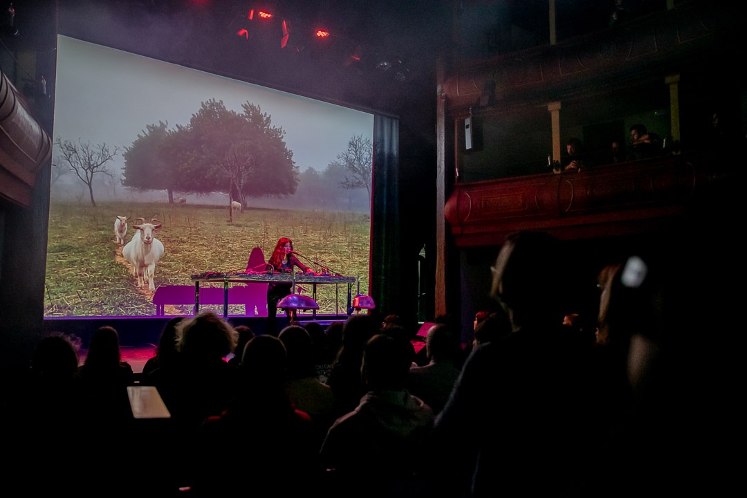 Short Music 8/11/2025