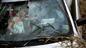 HUNDE FALLEN NICHT VOM HIMMEL