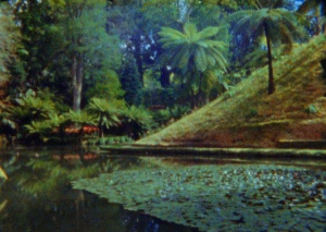 BALADA DE UM BATRÁQUIO