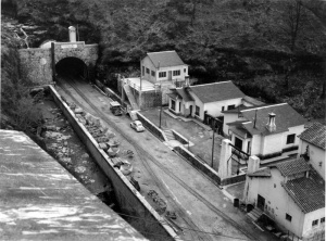 UNA GESTA BAJO LA MALEZA