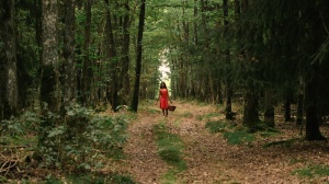 (LITTLE) RED RIDING HOOD