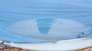 O APROVEITAMENTO DA ÁGUA NA ILHA DA MADEIRA