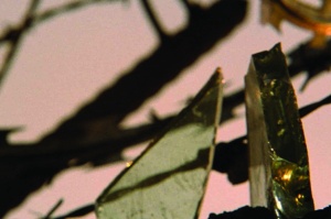 UM SENTIDO BÉLICO PARA AS COISAS BELAS