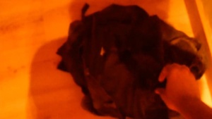 TIME WITHOUT SEAT BELT