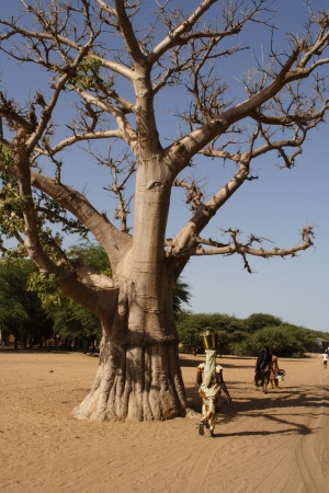 PASEO POR GUET N'DAR