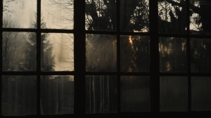 CARTAS DESDE LA LOCURA