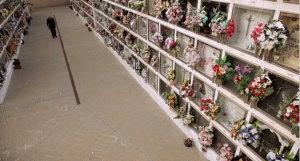 CERDOS, PIÑAS Y OTROS MORTALES