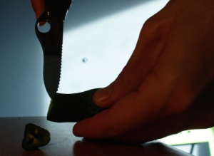 DISTRIBUTED DENIAL OF SERVICE