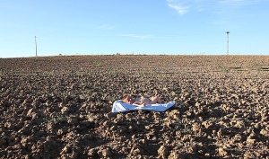 DE L'INCONVÉNIENT D'ÊTRE NÉ