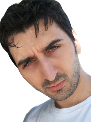 EL LABERINTO DEL FÉNIX