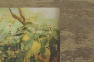 EL SOL EN EL SOL DEL MEMBRILLO