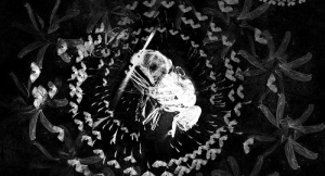 ERÄÄN HYÖNTEISEN TUHO