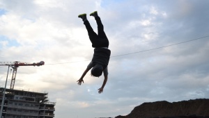 EVOLUTIE VAN SOORTEN