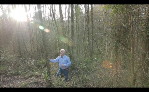 GRITANDO EN SILENCIO