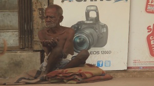 UN ANIMAL COMO OTRO CUALQUIERA