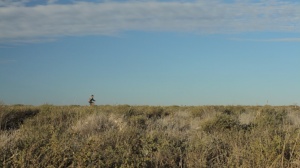 EZEQUIEL Y LA GALGA MARÍA