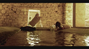 EL CORAZÓN DEL JARDINERO