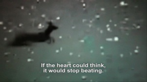 I MAY HAVE LOST FOREVER MY UMBRELLA