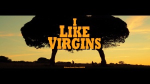 I LIKE VIRGINS