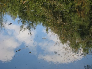 L'ANGLETERRE CONTRE L'ARGENTINE