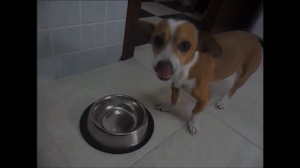 TODOS PODEMOS SOÑAR