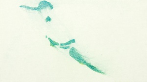 JANE, TARZAN EZ ZEN HORREN GUAY