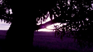 LA LEYENDA DEL CONEJO HINDÚ