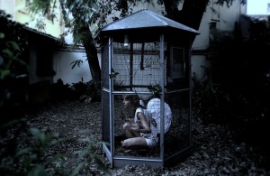 LOS MOTIVOS DEL AIRE