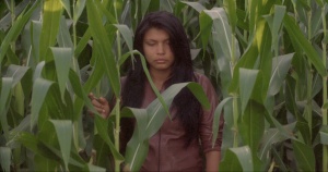 SEMENTE EXTERMINADORA