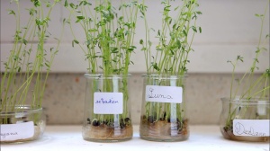 QUE PERSONNE NE SACHE!