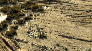 IN THE MIDDLE OF THE DESERT