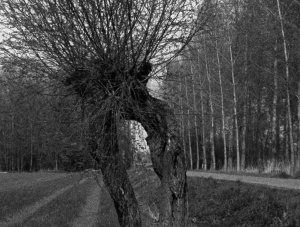 HET VERDRIET ZAL NIET EEUWIG DUREN