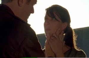 LA VILLE AUX MURS DAUPHINS