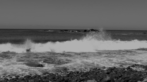 THE MOURNING OF THE SEA