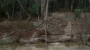 TRISTEZAS DE LA LUCHA