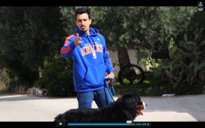 UNCERTAIN FATES (DESTINOS INCIERTOS)