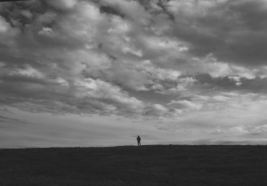 AU CHÂTEAU DES ALOUETTES