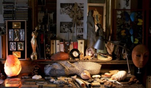 VOYAGE AUTOUR DE MA CHAMBRE