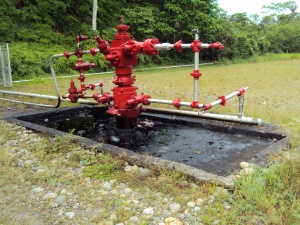 YASUNÍ, EL BUEN VIVIR