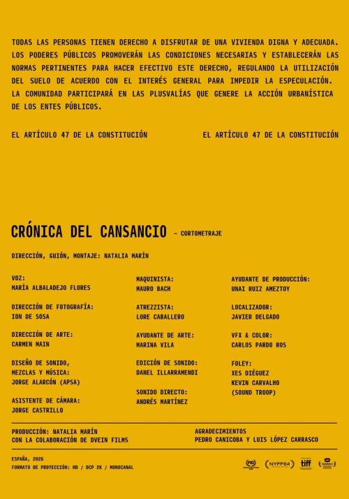 CENA 4: SUBSOIL