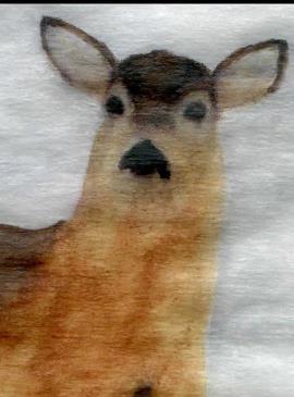  THE BREATH’S DEER