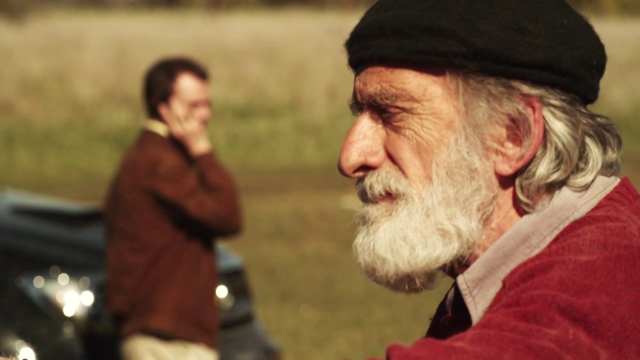 TO BEEF OR NOT TO BEEF