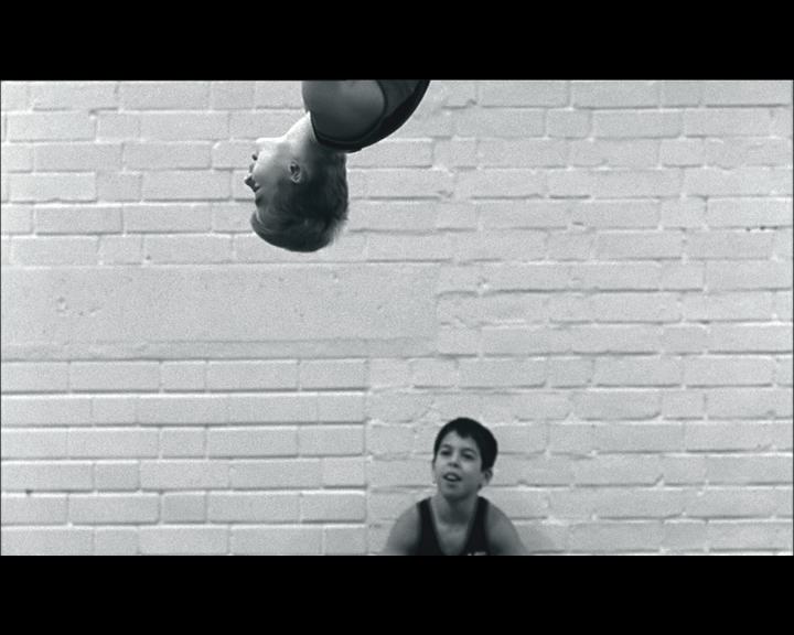 VON MÄDCHEN UND PFERDEN