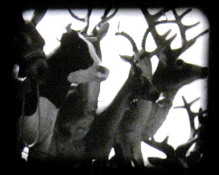 NÃO FILME EM TRÊS ACTOS E UM PRELÚDIO