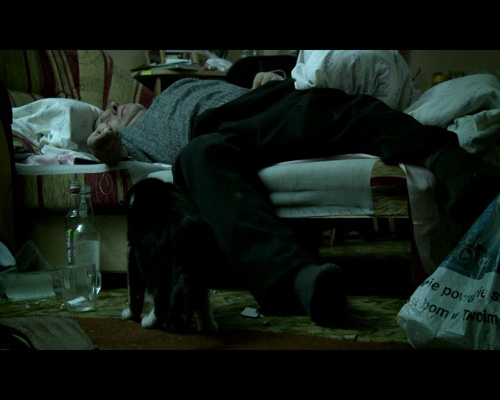 KRAJOBRAZ NIZINNY Z KOLYSKA