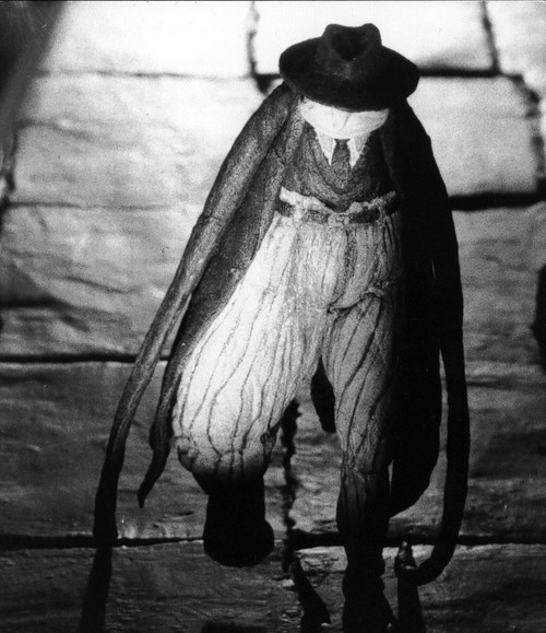 L'HOMME AUX BRAS BALLANTS