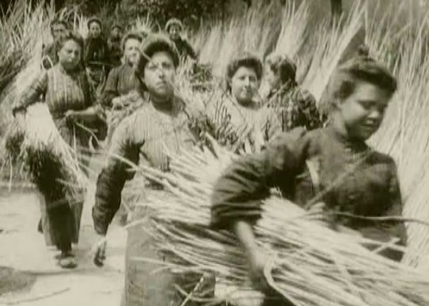 DIE METRIC DES ZUFALLS